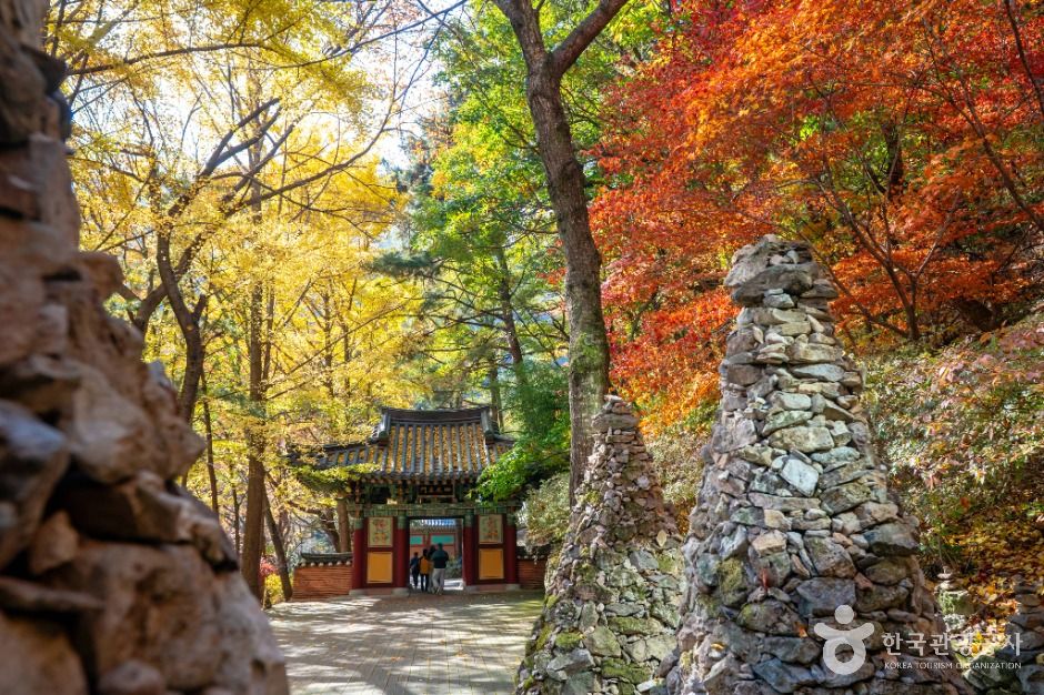 thumbnail-금오산도립공원-3