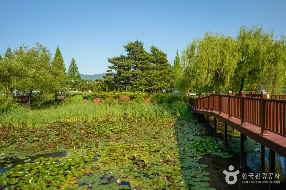 thumbnail-창원수목원-1