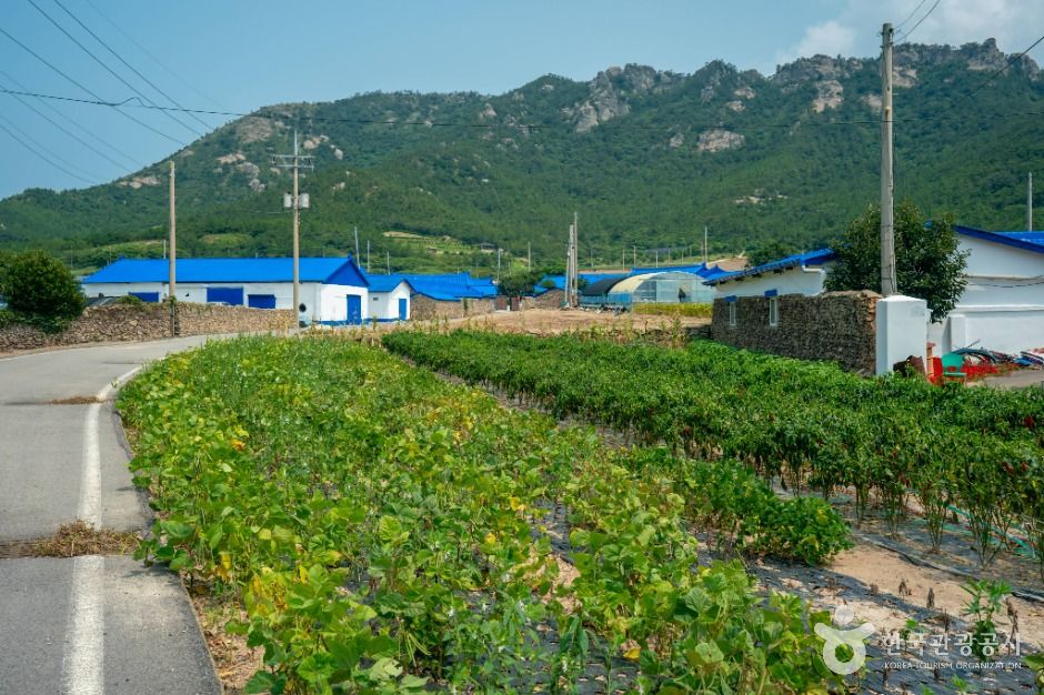 비금도 내촌마을 옛 담장