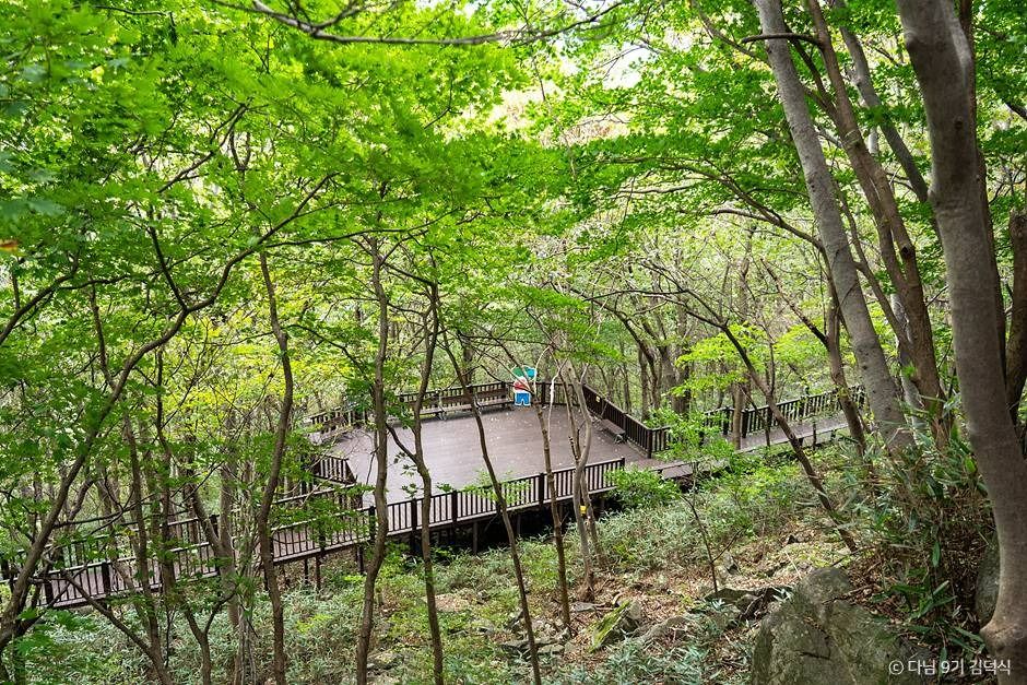 thumbnail-국립 방장산자연휴양림-5