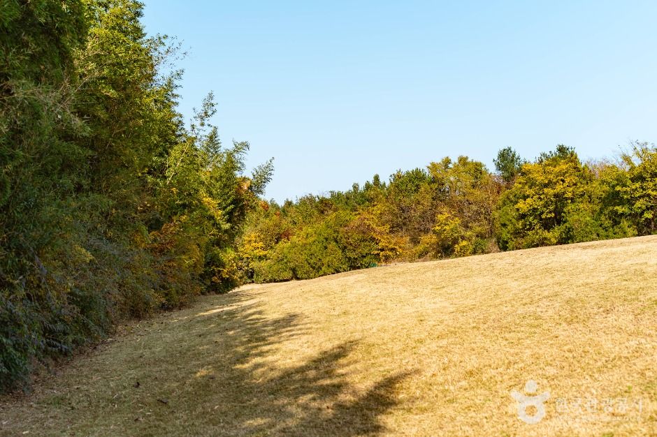 경주 동방동 와요지