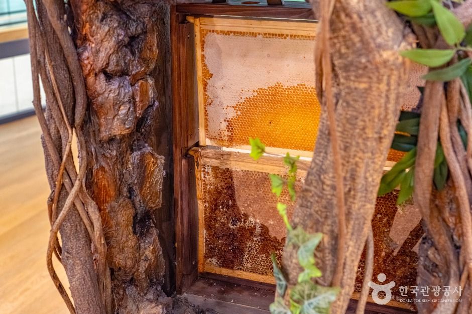 칠곡_꿀벌나라테마공원 (6)