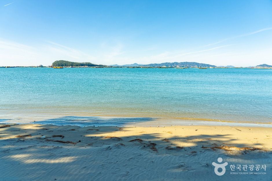 완도_지리청송해변 (3)