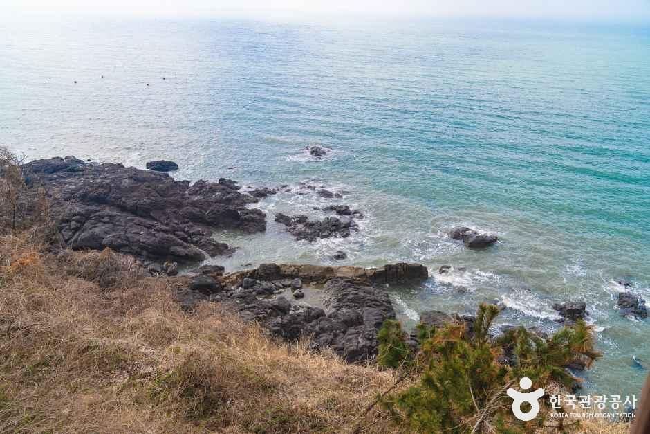 thumbnail-백수해안도로-21