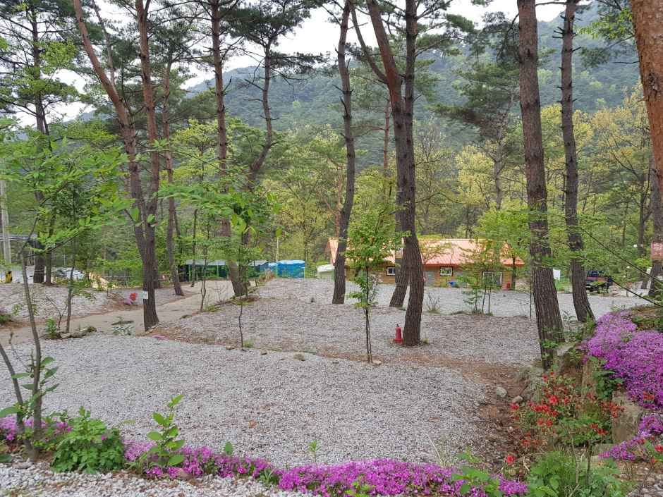 아리솔캠핑장