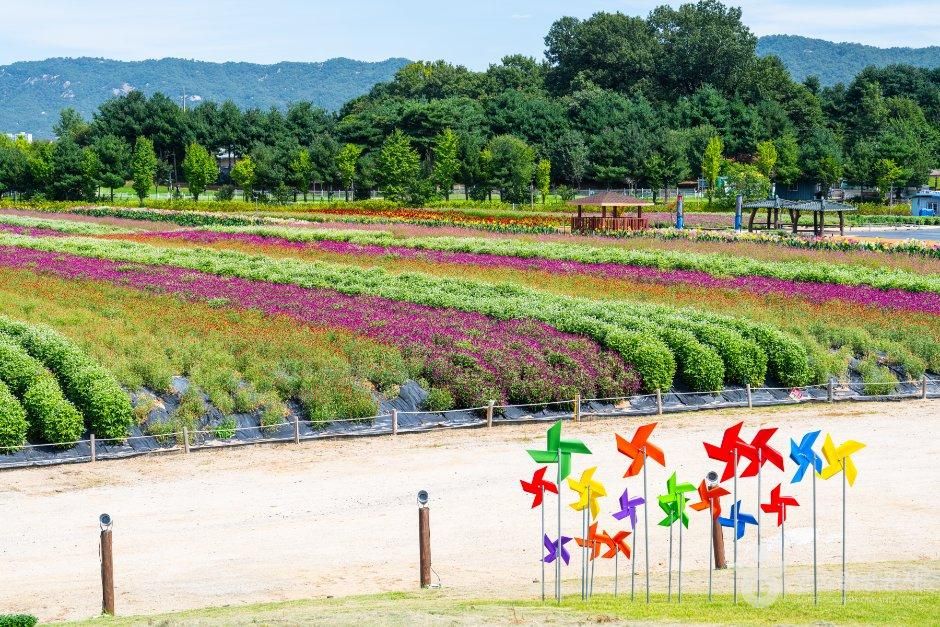 thumbnail-Nari Farm (나리농원)-8