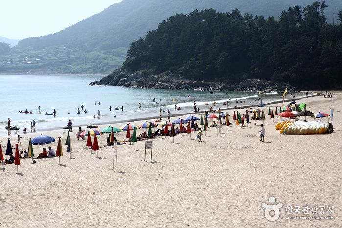 송정해수욕장