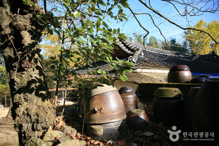 Bamboo House (대나무집)