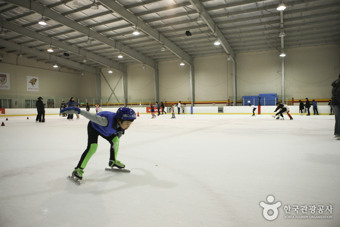 Korea University Ice Skating Rink (고려대학교 아이스링크)