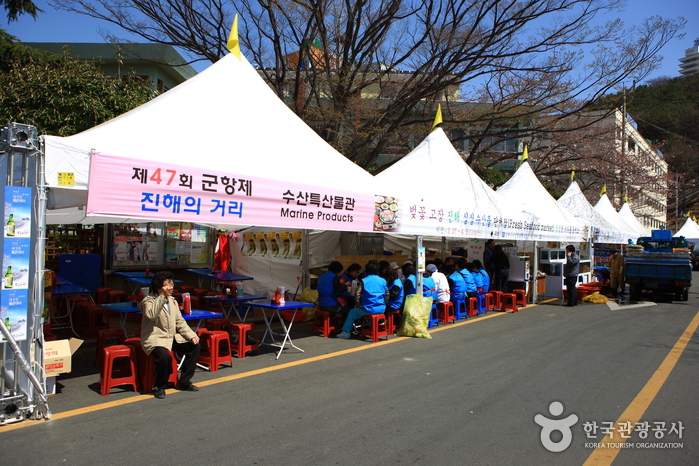 Jinhae Gunhangje Festival (진해군항제)