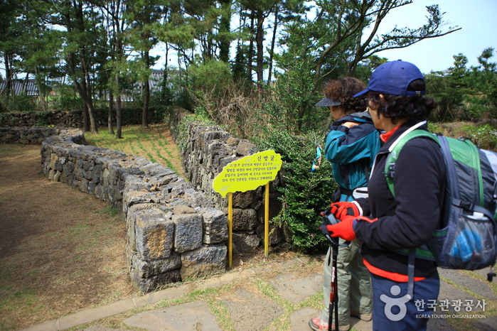[제주올레 2코스] 광치기-온평 올레5