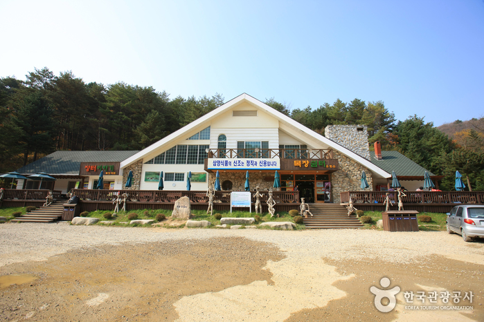 Eco Green Campus [Daegwallyeong Samyang Ranch] (에코그린 캠퍼스, 구 대관령 삼양목장)