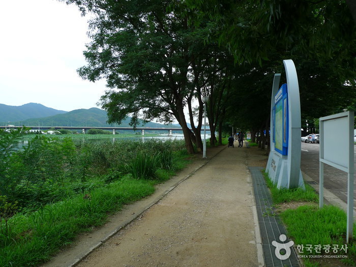양평 두물머리 사진9