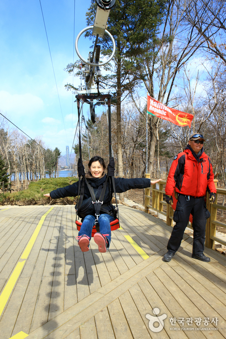 Namiseom Island (남이섬 종합휴양지)