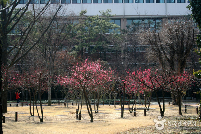 Gedenkpark Gukchaebosang (국채보상운동기념공원)