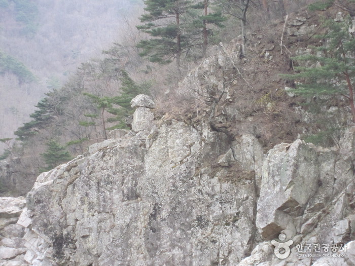 왕피천생태탐방로 사진4