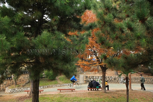 Suyeong Sajeok Park (수영사적공원)2