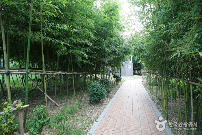 Taehwagang National Garden (태화강 국가정원)