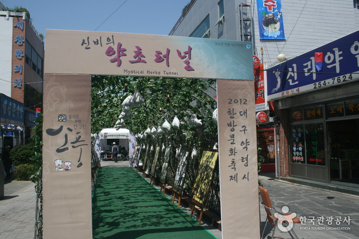 Festival de la Medicina Tradicional Yangnyeongsi de Daegu (대구약령시한방문화축제)