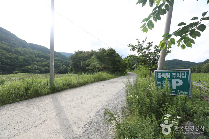Jeombongsan Mountain Gombaeryeong Pass (점봉산 곰배령)
