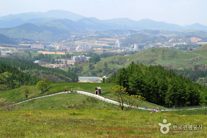 강원 평창군 사진3