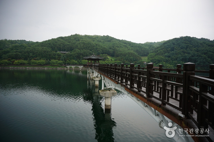 Brücke Woryeonggyo (월영교)