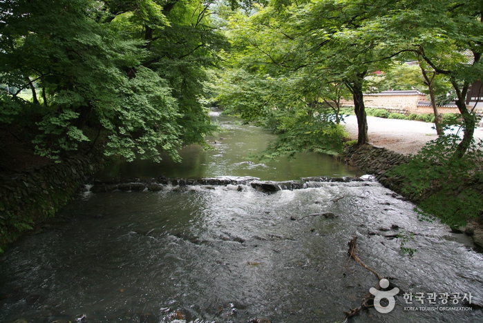 Seonunsa Temple (선운사)