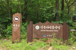 Saneum National Recreational Forest (국립 산음자연휴양림)