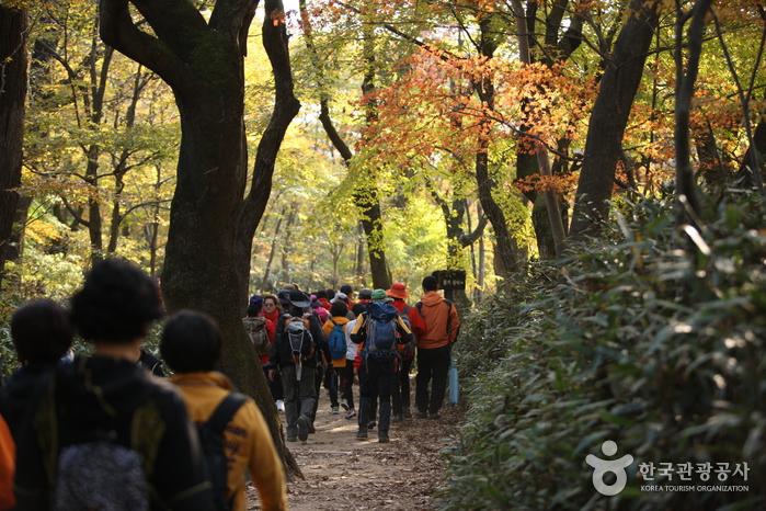 Parc National du Mt. Songnisan (속리산국립공원)