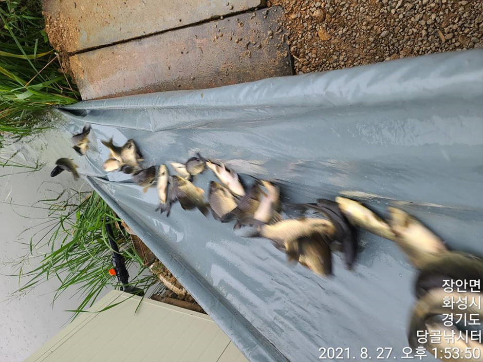 thumbnail-당골낚시터-3