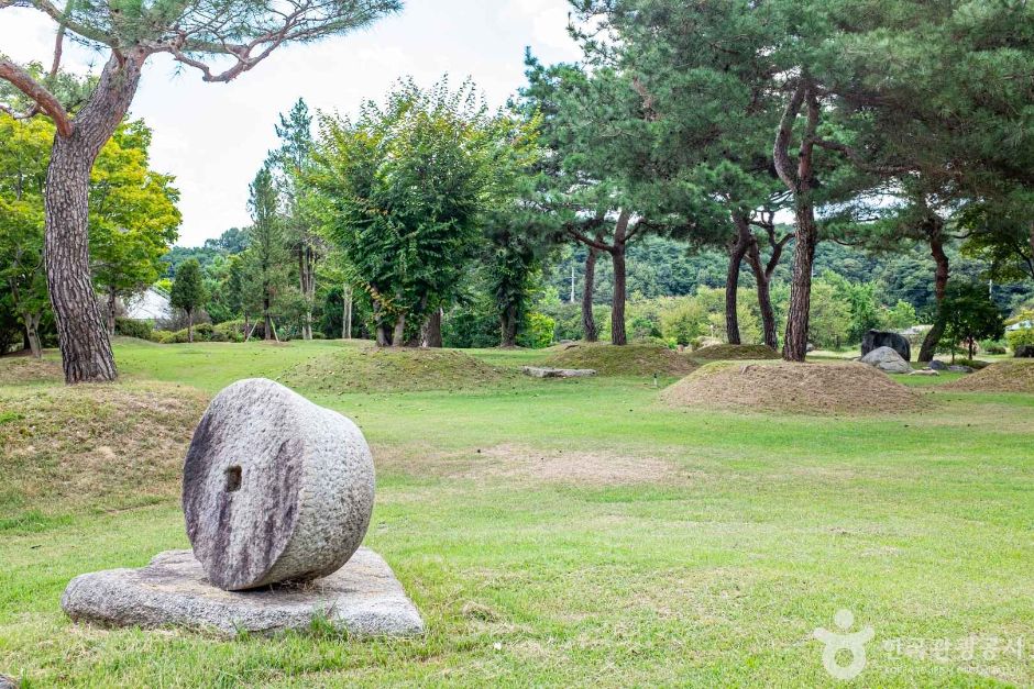 장수조이월드