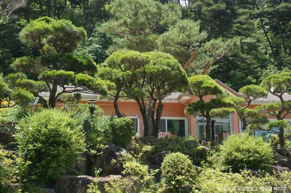 흥부골자연휴양림