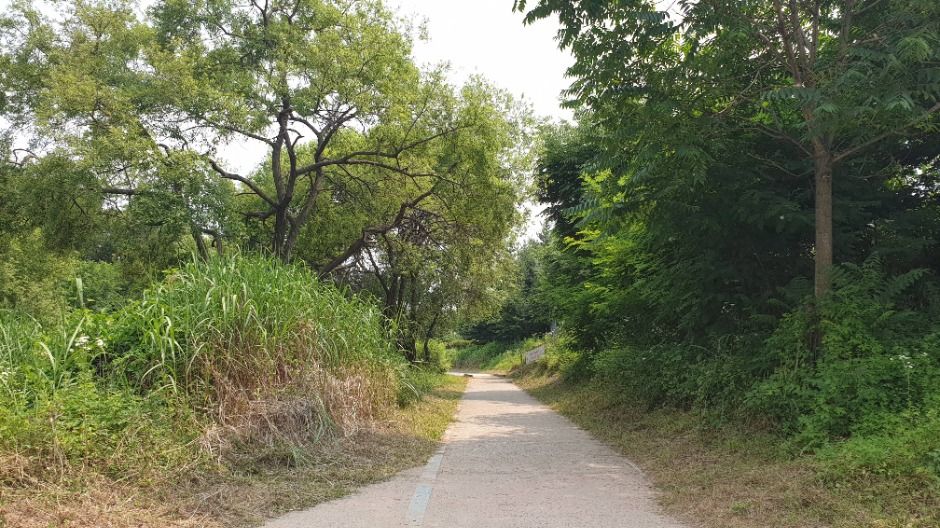 [경기옛길 삼남길 제4길] 서호천길