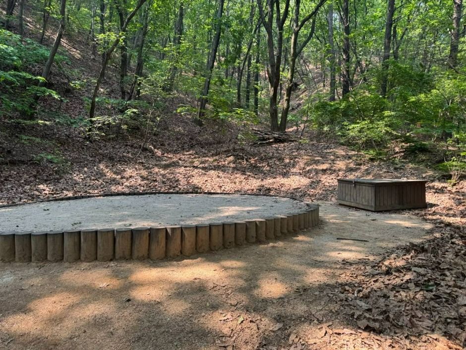 청사초롱 유아숲체험원