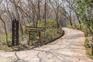 순천_순천전통야생차체험관 (1)