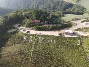 Gangneung Anbandegi Tourist Farm (강릉안반데기관광농원)