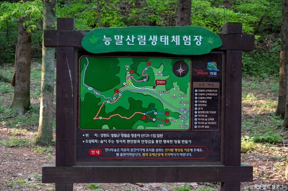 물무리골생태습지