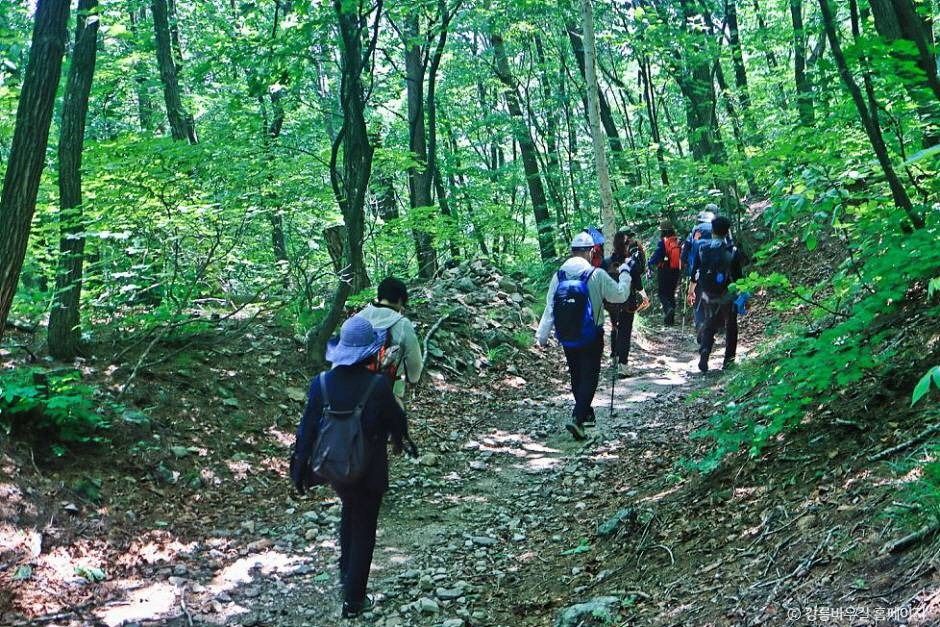 강릉_대관령 옛길 (1)