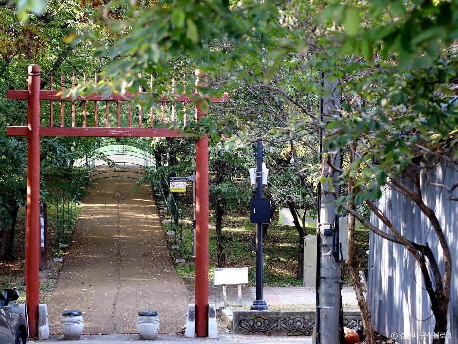 자인계정숲(경산 자인의계정숲)