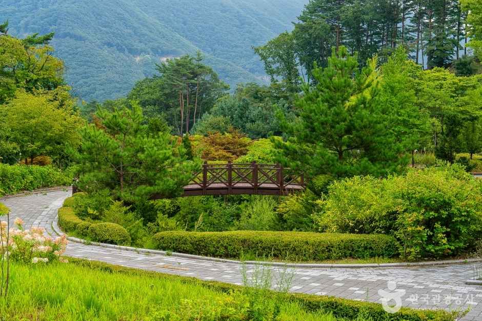 thumbnail-백두대간 생태수목원-23