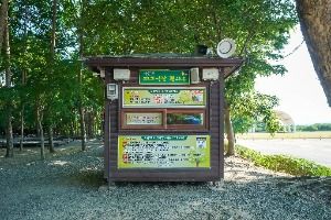 대구달성_사문진피크닉장 (6)