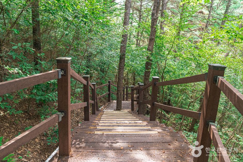문수산산림욕장