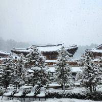 평창_월정사 템플스테이 (1)