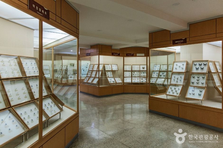 thumbnail-경희대학교 자연사박물관-48