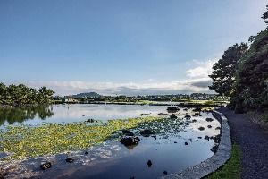 제주_오조포구 (7)