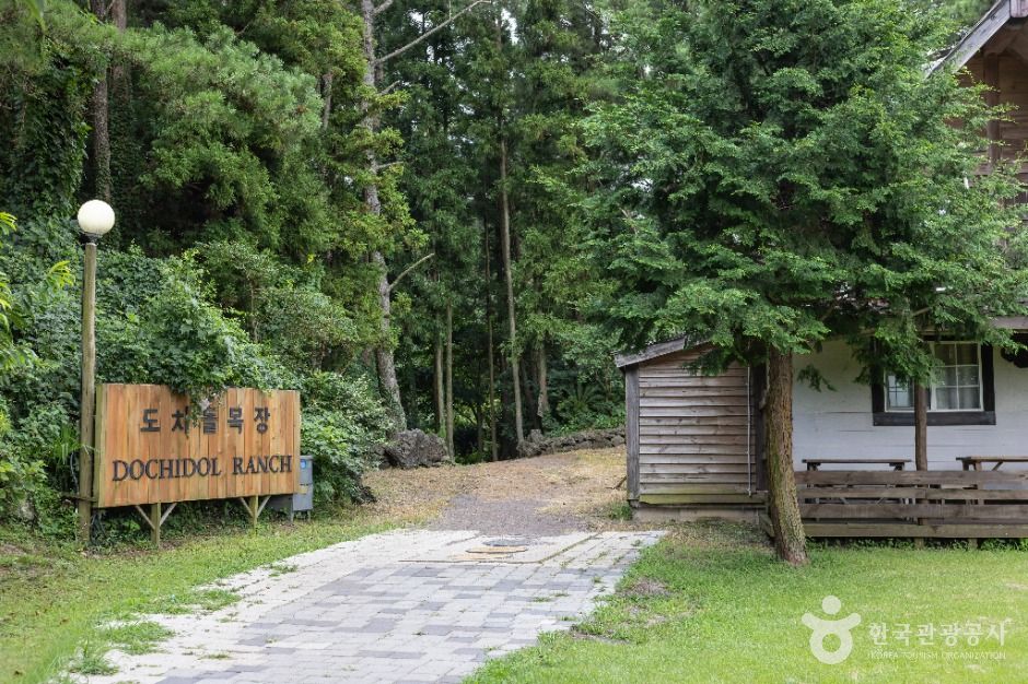 도치돌 알파카목장