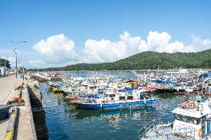 보령_오천항 (2)