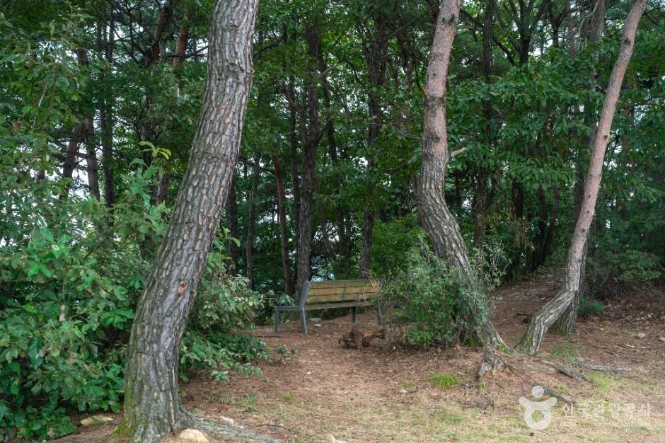 충주_충주 장미산성 (2)