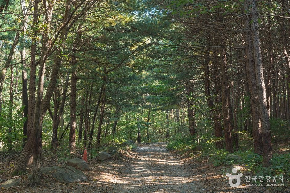 thumbnail-호국사(경기)-1