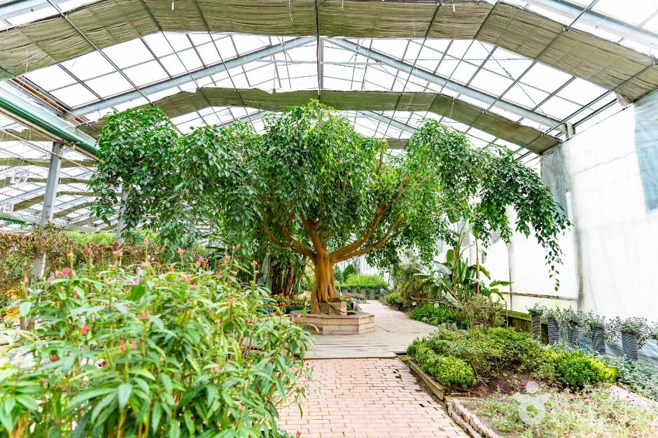 아산_세계꽃식물원 (2)